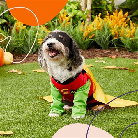 Buying Guide The Best Dog Halloween Costumes For 2021 Bechewy