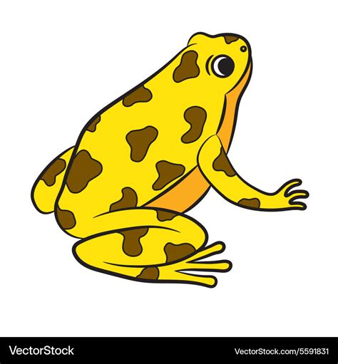 Cartoon Of Poison Dart Frog Royalty Free Vector Image