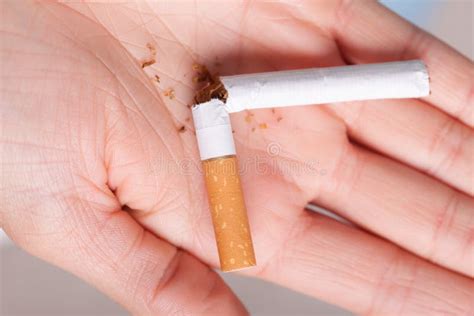 Addiction Broken Cigarette On Hand Quit Smoking Stock Photo Image