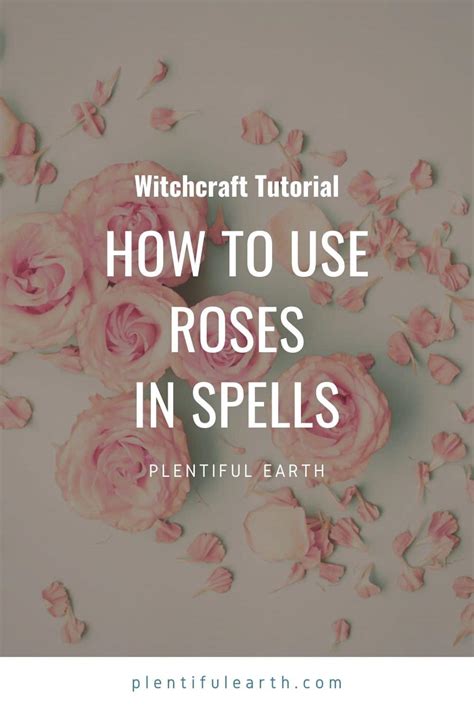 Rose Magical Properties How To Use Roses In Spells