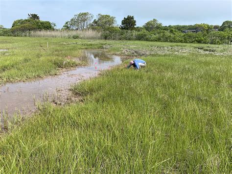Changes In The Land Talk Saltmarsh Conservation Adaptation At Dnrt