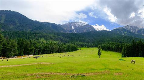 Aru Valley Pahalgam Best Activities And Top Places To Visit