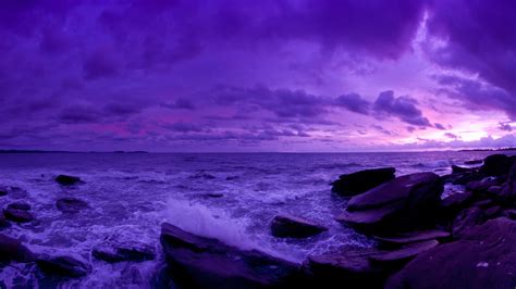 Purple Sunset Wallpapers Green Backgrounds Pictures And Images