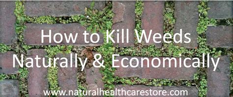 No need to exclude children or pets from the area (once dry) leaves no residues so it's safe to replant afterwards; Organic Gardening ~ Natural Garden & Lawn Care ~ Killing ...