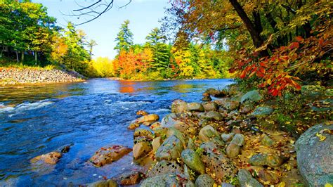 Beautiful Colorful Autumn River Foliage HD Nature Wallpapers HD Wallpapers ID