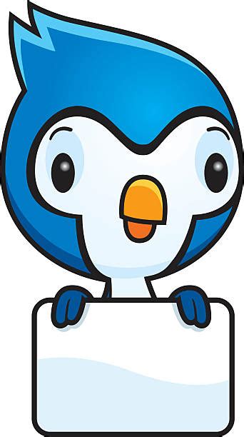 Best Blue Jay Illustrations Royalty Free Vector Graphics And Clip Art