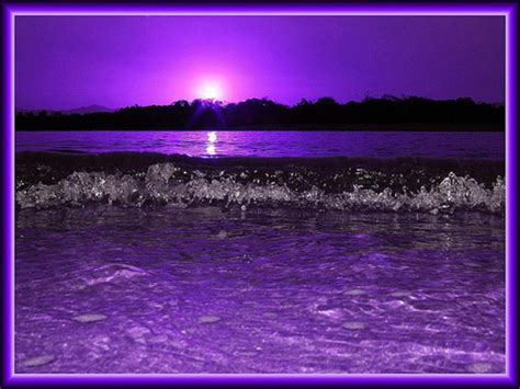 We did not find results for: Purple Sunset Wallpapers - Wallpaper Cave