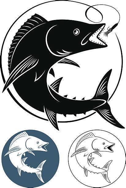 Download Wahoo Fish Illustrations, Royalty-Free Vector Graphics & Clip Art - iStock