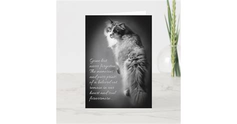 Sympathy Card For Cat Loss Zazzle