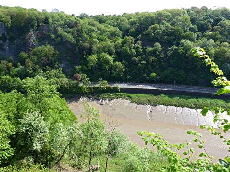 With spectacular views across bristol and the surrounding landscape, ancient and veteran trees, and an abundance of wildlife, leigh woods is the perfect. Photographs of Leigh Woods National Nature Reserve ...