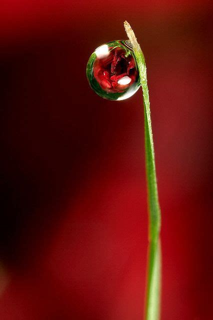 Water Drop Water Drop Photography Art Photography Levitation