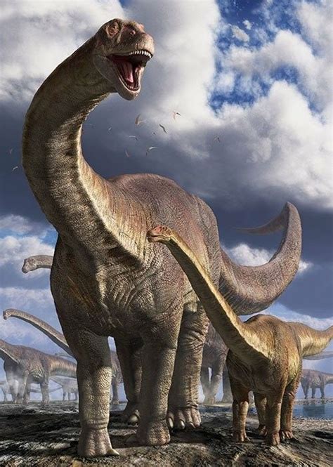 Imagens De Dinossauros Imagens Para Whatsapp Dinosaur Pictures Prehistoric Creatures