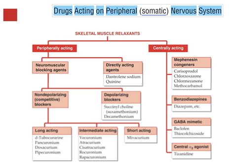 Solution Drugs Acting On Peripheral Nervous System Studypool