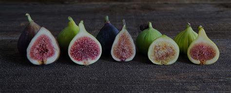Fig Varieties California Figs California Figs
