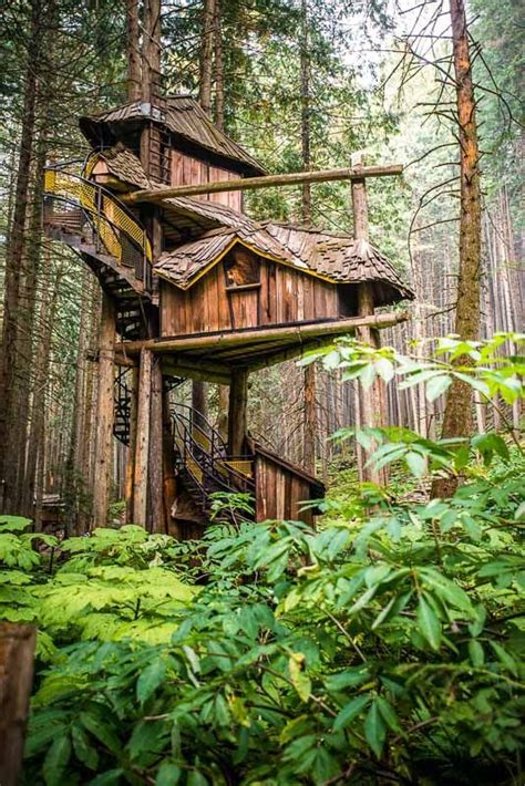 12 Of The Worlds Coolest Tree Houses You Can Visit