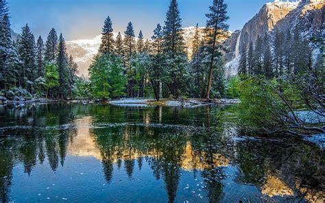 Hd Wallpaper Usa California Yosemite National Park Winter Forest