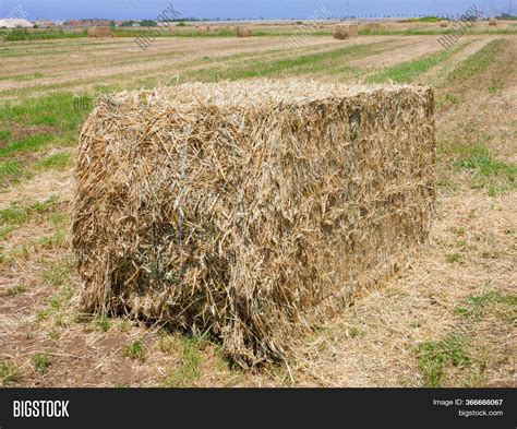 Large Square Hay Bale Image And Photo Free Trial Bigstock