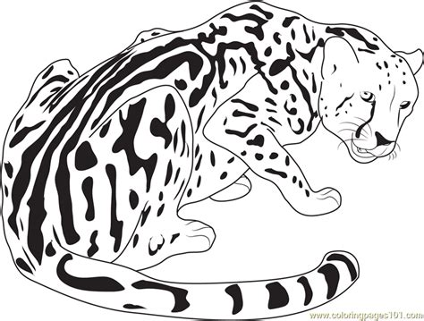 20 Cheetah Coloring Pages Pics