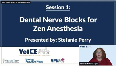 Dental Nerve Blocks For Zen Anesthesia