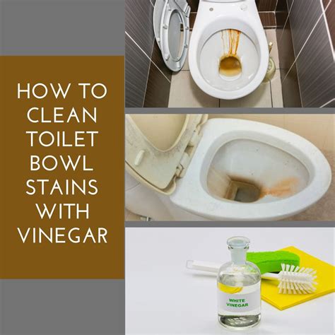 How To Clean Toilet Bowl Stains Artofit