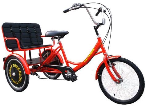 The individual person is going to be. Buddy Trike - 2 Passenger 6 Speed Electric Tricycle ...