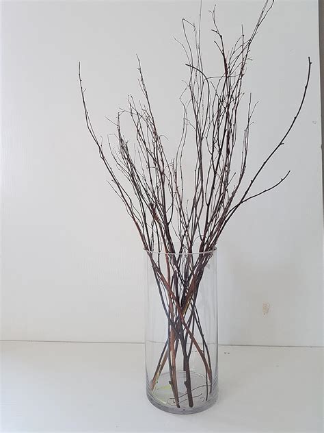 Tall Birch Branches For Vases Decorative Branches For Vases Tree