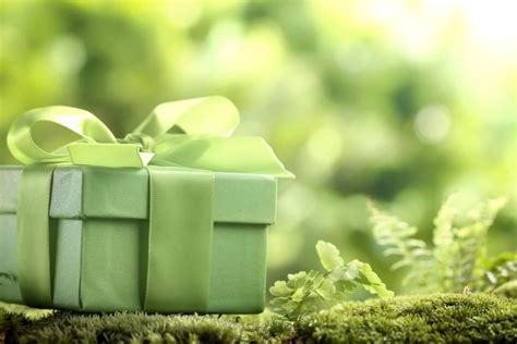 The best unique gift ideas. Top 11 Eco-Friendly Green Gift Ideas that Are Unique & Cheap