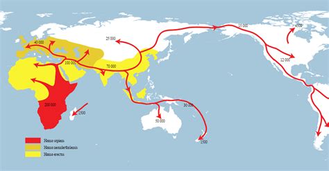 Early Human Migration Ancient History Encyclopedia