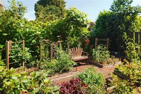 10 Backyard Vegetable Garden Ideas Simphome