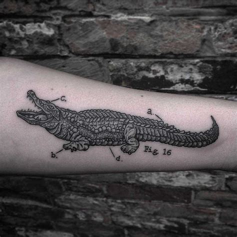 Black Traditional Alligator Tattoo 60 Alligator Tattoo Designs For Men