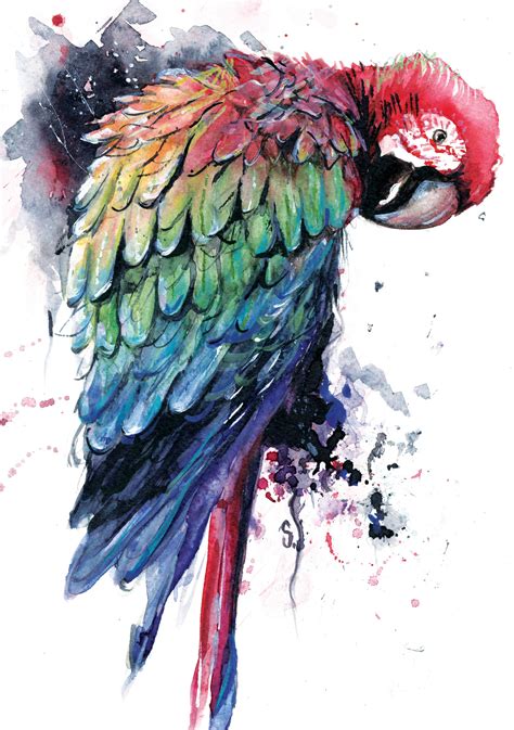 Parrot Colors Watercolor Painting Print Artwork Painting Etsy Uk