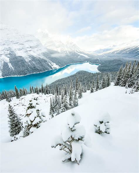 Peyto Lake Banff National Park Alberta Canada Photo Credit Ig