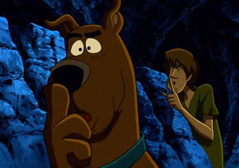 Scooby Doo  Find And Share On Giphy