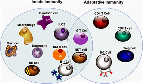 Biomarkers And Milk Milk Responds Changes To Milk Immune Factors With