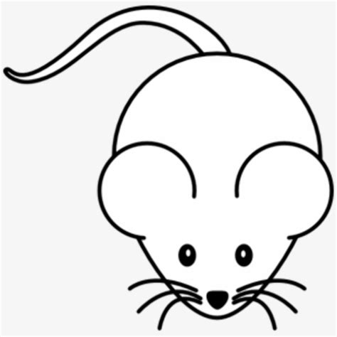 Download High Quality Mouse Clip Art Outline Transparent Png Images