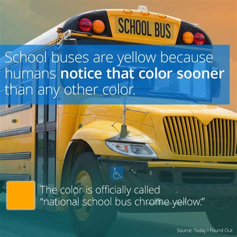 Why Are School Buses Yellow And Why Dont They Have School Bus