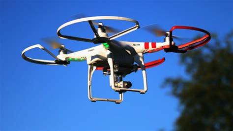 Scientists Develop Self Flying Drones That Navigate Like Birds And Insects