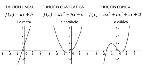 Tendencias De Funciones Polinomiales Racionales Radicales Y My XXX