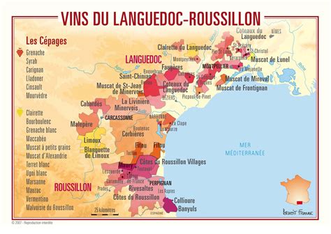 Discover The Languedoc Roussillon Wine Region Wine Region Map France Wine Wine Region