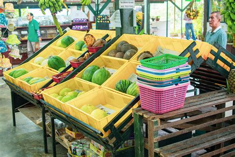 Všetky voľnočasové aktivity v lokalite ostrov penang. Penang Tropical Fruit Farm. Leuke attractie met alle ...