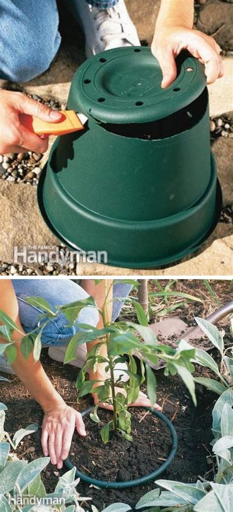 20 Insanely Clever Gardening Tips And Ideas With Pictures