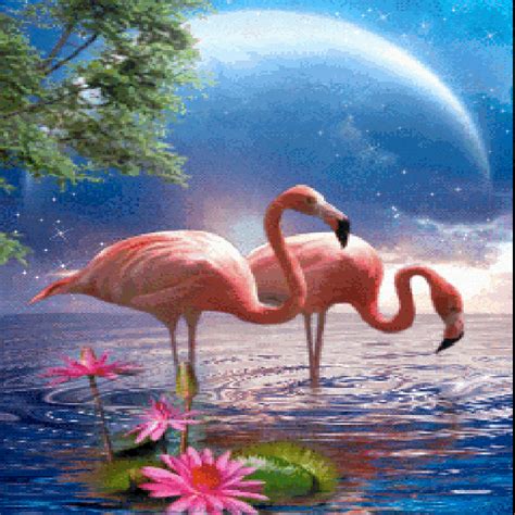 Incredible Animated S Flamingo Ideas