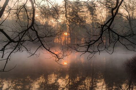 Download 816x2260 Lake Mist Reflection Forest Trees Sunset