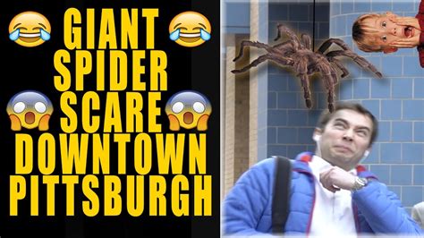 giant spider scare prank downtown pittsburgh youtube