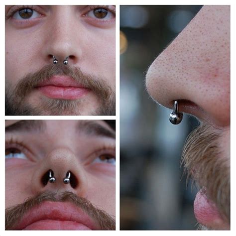 Septums I Love Them This Is A Beautifully Healed 14g Septum With An