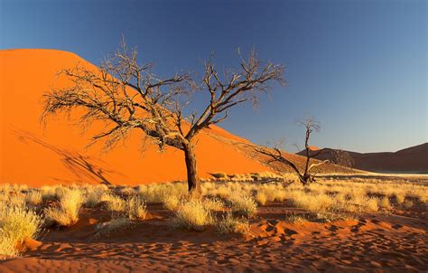Namib Desert Wallpapers Wallpaper Cave