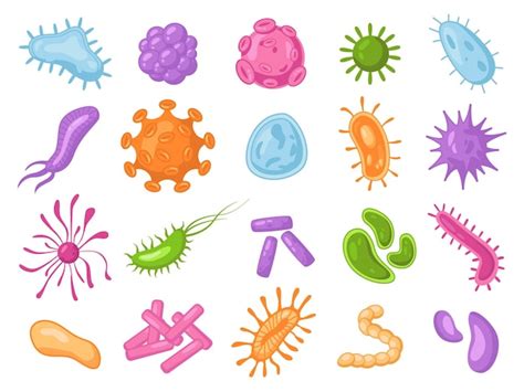 Ensemble Isolé De Germes De Micro Organismes De Bactéries De Virus