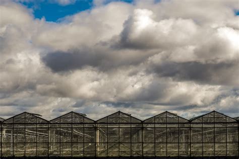 Sign Up For A Virtual Course On Greenhouse Environment Hortimedia