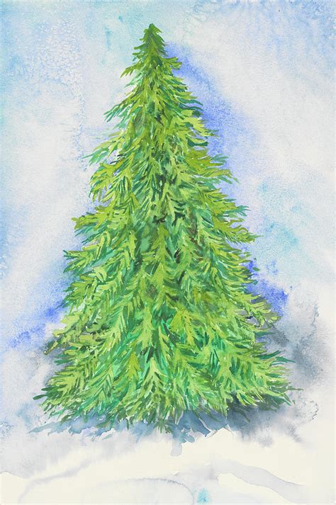 Evergreen Tree Painting By Joanne Porter Pixels