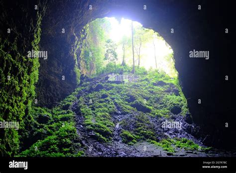 Indonesia Yogyakarta Jomblang Vertical Sinkhole Cave Goa Jomblang